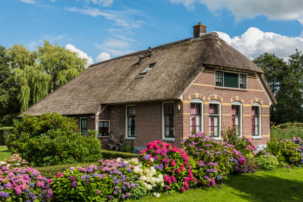 Giethoorn, The Netherlands - July 7, 2017: Front with Hydrangea of a monumental house in the small, picturesque town of Giethoorn, Overijssel, Netherlands.