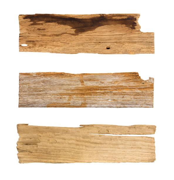 istock Old wooden planks isolated white background 849859280