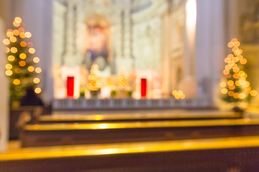 Defocused church interior blur abstract background with Christmas trees