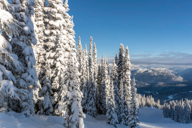 istock Whistler Blackcomb Ski Resort Nature Landscape Panorama 849862536