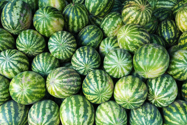 istock pile of watermelons close up 849873794
