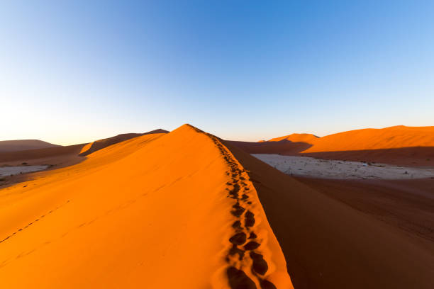 istock Sossusvlei, Namib Desert, Namibia, Africa 849877456