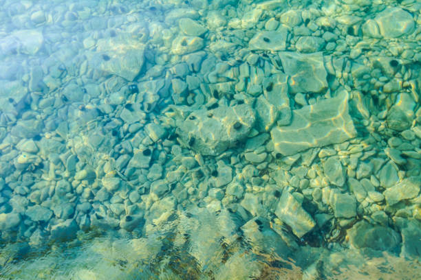 istock Beautiful shallow sea with urchin on a bottom 849884882