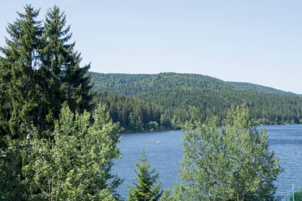 istock The Schluchsee lake in the German Black Forest 849897580