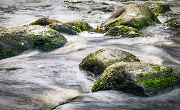 водопад в размытии с проточной водой. камни вокруг воды - moss stream rock water стоковые фото и изображения