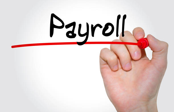 istock Hand writing inscription Payroll with marker, concept 849912380