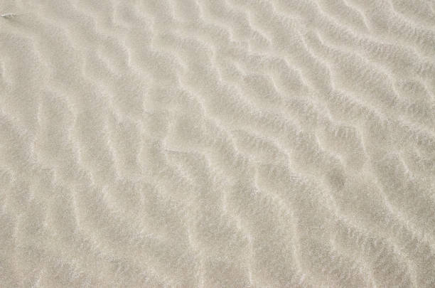 istock Ripple Mark on the Sand Beach 849915696
