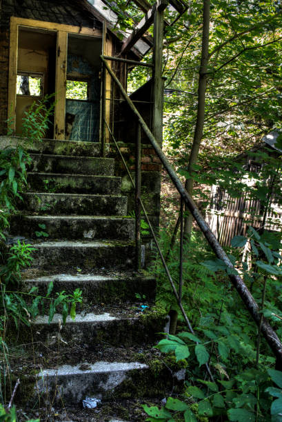 istock Stairs of a ruin 849921874