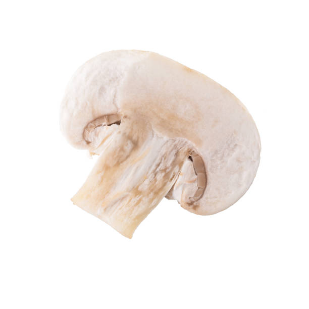 istock White champignon mushrooms, Champignon Isolated on White Background 849930638