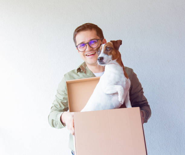 istock Handsome man with moving boxes and dog on white background 849934198