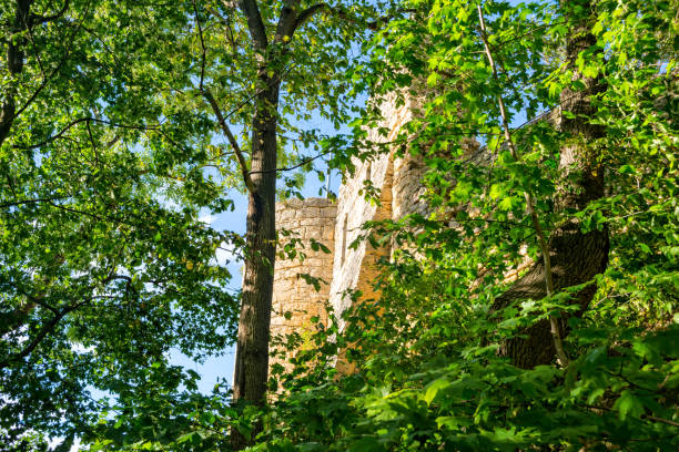 istock Kunitzburg near Jena in Thuringia 849938390