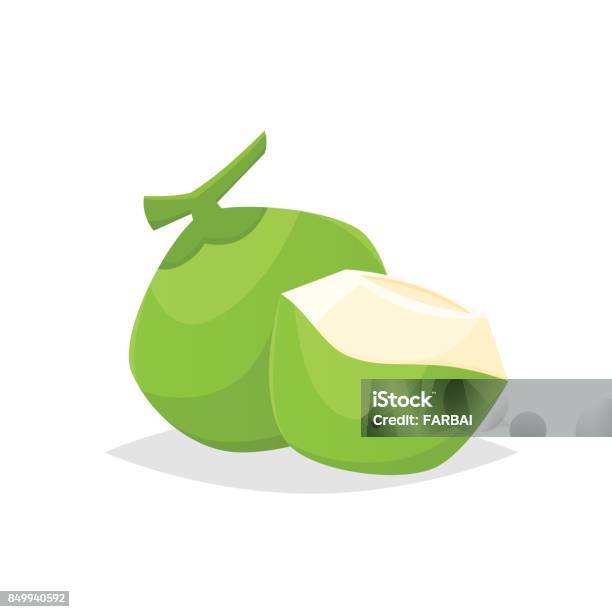 Green Coconut Vector Isolated Illustration Stock Illustration - Download  Image Now - Coconut, Green Color, Cartoon - iStock