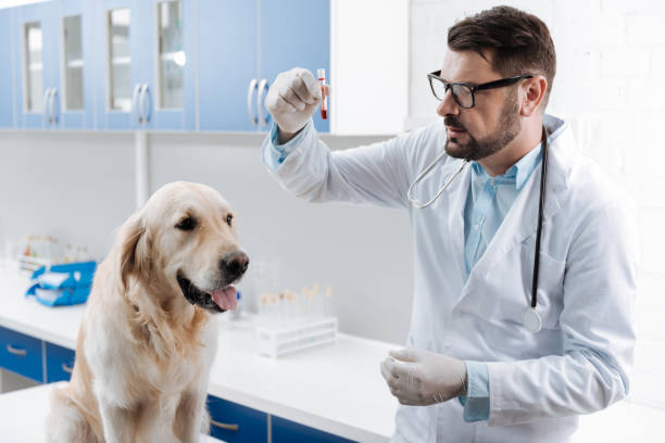 istock Attentive medical worker looking at test tube 849946842