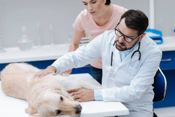 istock Serious doctor measuring pulse of his patient 849948390