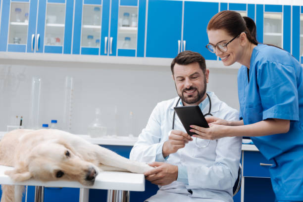 istock Smiling bearded man treating sick dog 849951916