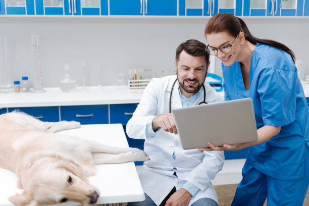 istock Positive delighted lab assistant holding laptop 849952076