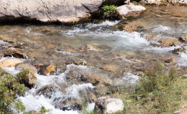 istock rough mountain river in Kazakhstan 849957334