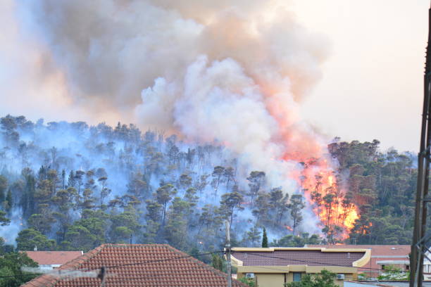 istock Forest fire. Burned trees after wildfire, pollution and a lot of smoke 849984126