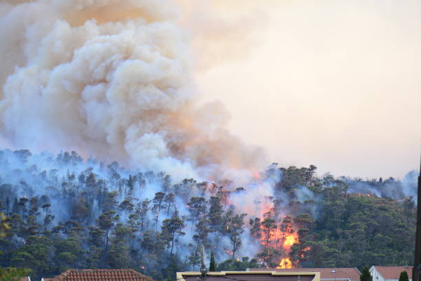 istock Forest fire. Burned trees after wildfire, pollution and a lot of smoke 849991334