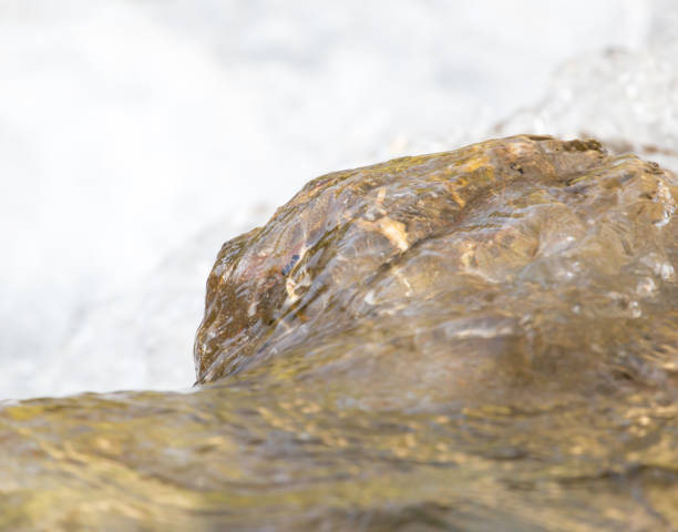 istock stones in the mountain river 849994770