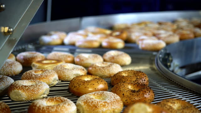 Making of the fresh hot tasty bagels at the backery's factory - sesame bagels are transporting for sorting on the conveyor. 4K UHD video with upward panoramic motion.