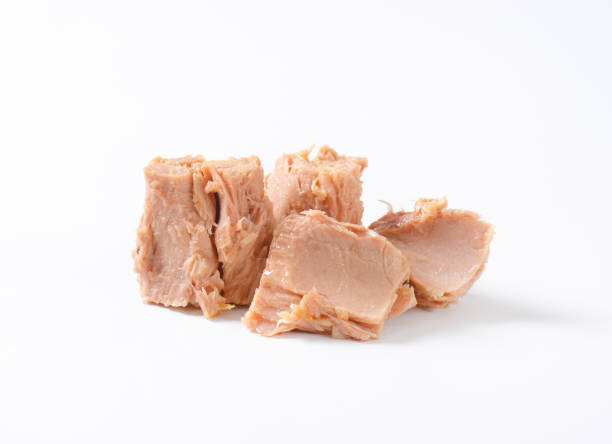 istock pieces of canned tuna 850019306