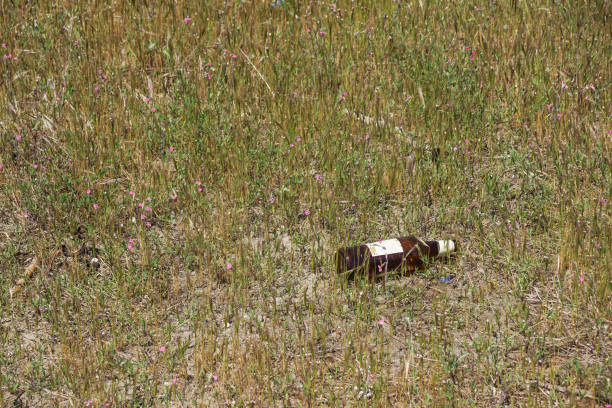 istock old abandoned glass bottle left open stores stagnant water. potential mosquitoes breeding ground. 850019362