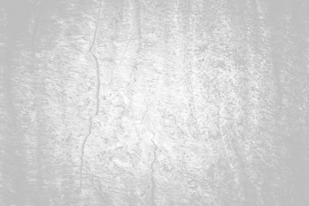 istock The old wood texture with natural patterns and cracks on the surface as background. White tone 850019912