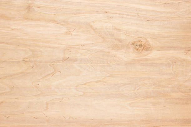 istock Wood background, light texture of a wooden shield or board panel 850029522