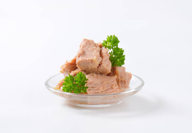 istock bowl of canned tuna 850044936
