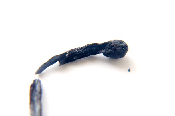 istock Burned match on a white background. close-up. macro 850050344