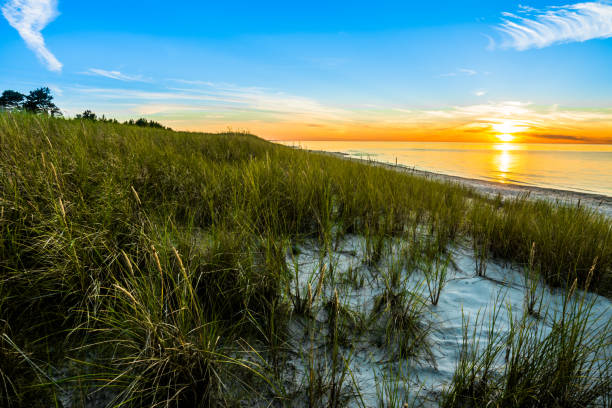 istock Sandy beach and sunset sky with golden sun shining on white sand 850121108