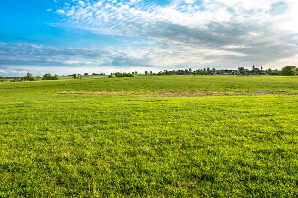 istock Green meadow and blue sky over grass field, rural landscape 850125270