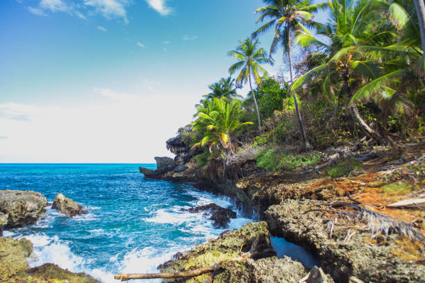 istock Wild tropical rocky shore, bay, lagoon. 850129484