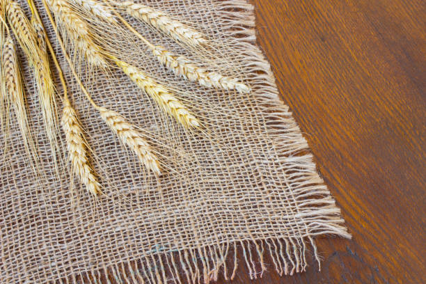 istock Spikes of wheat on sacking. Close up 850129498