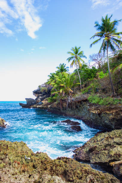 istock Wild tropical rocky shore, bay, lagoon. 850132398