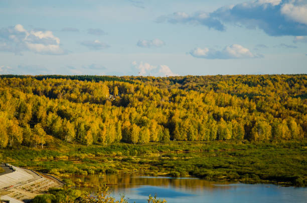 Aerial view of the forest river during the autumn