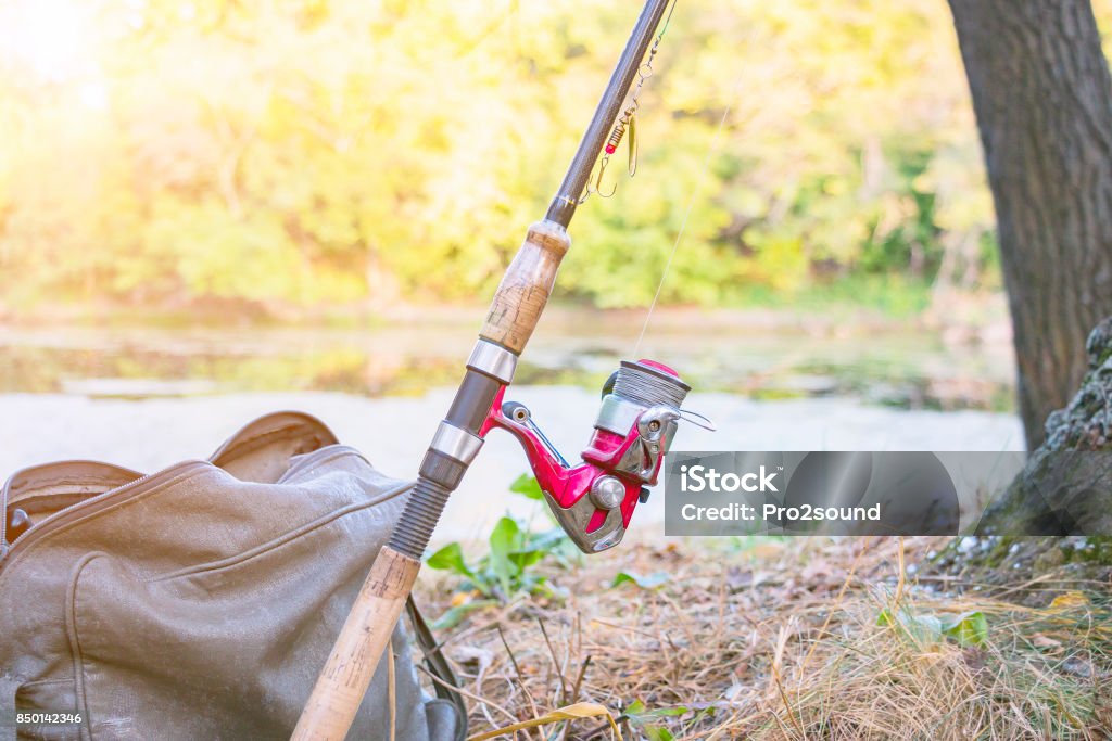 Fishing Rod With Spinning Reel Stock Photo - Download Image Now - Plumber,  Vacations, Backgrounds - iStock