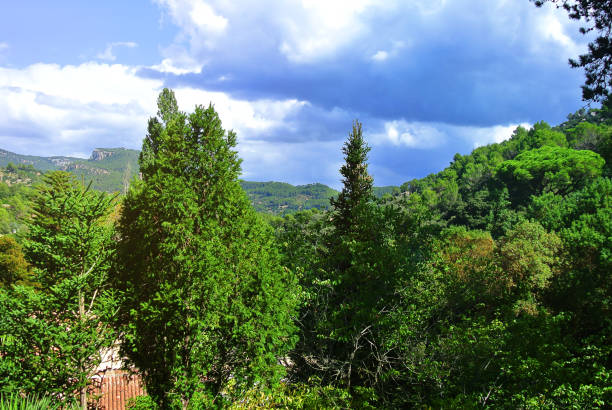 The nature of Catalonia. Spanish flora in bright colors on a clear day