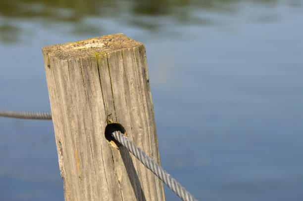 istock Boardwalk in the wetland 850170164