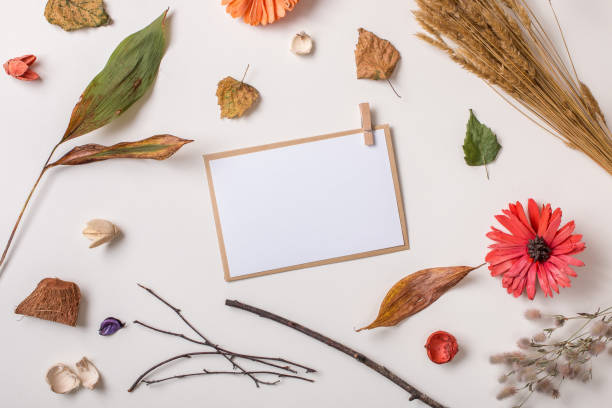 istock Paper card composed with autumn dry plants 850179126