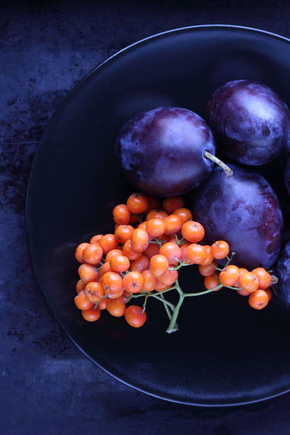 istock Blue plums and orange rowan berries on a black plate for designer 850183602
