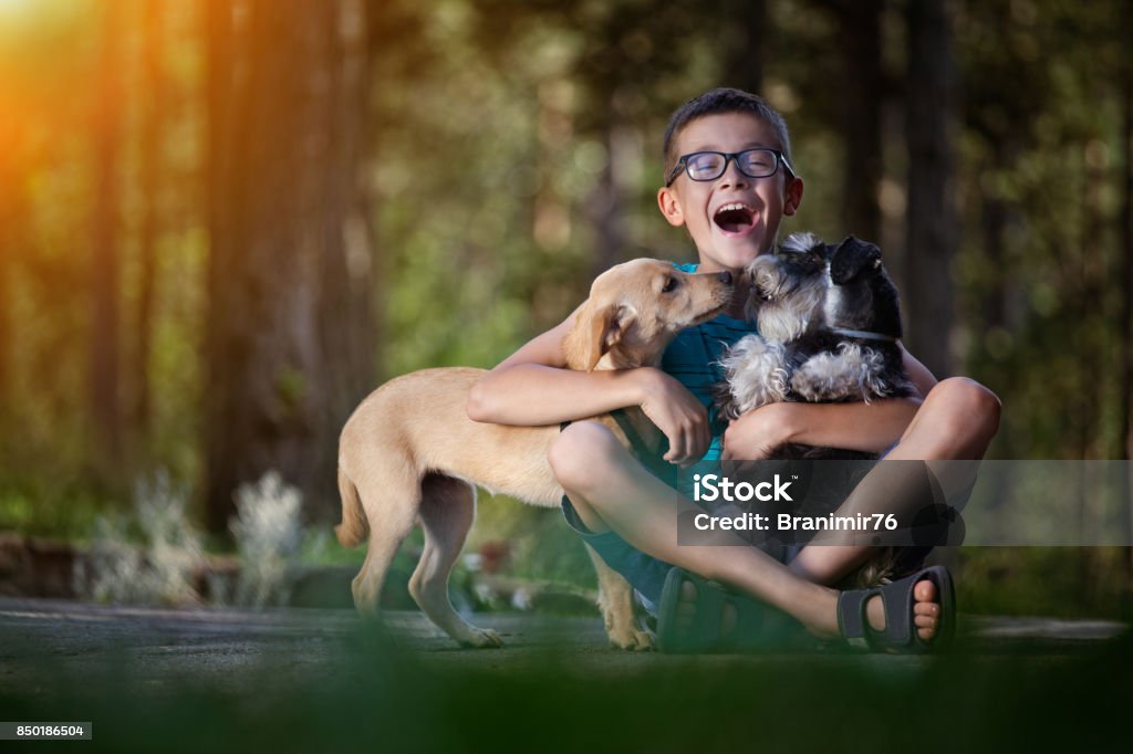 Beautiful boy with his best friend-dogs People and pats. Dog. Children.Very Shallow DOF. Developed from RAW; retouched with special care and attention; Small amount of grain added for best final impression. 16 bit Adobe RGB color profile. Adolescence Stock Photo