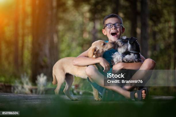 Beautiful Boy With His Best Frienddogs Stock Photo - Download Image Now - Adolescence, Animal, Animal Themes