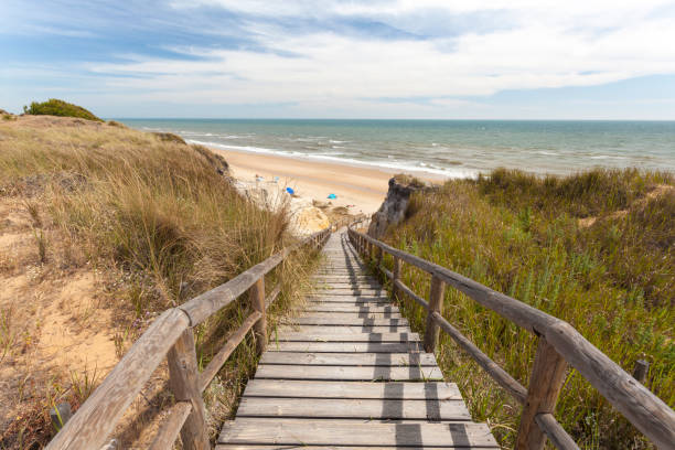 istock Stairway to the beach 850187226