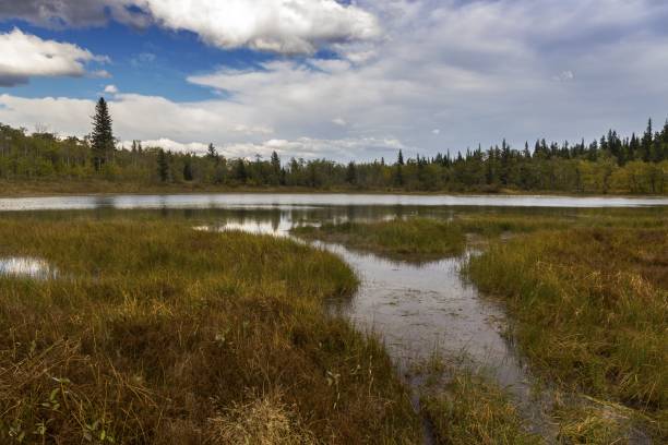 istock Alberta Foothills Autumn Landscape 850191768