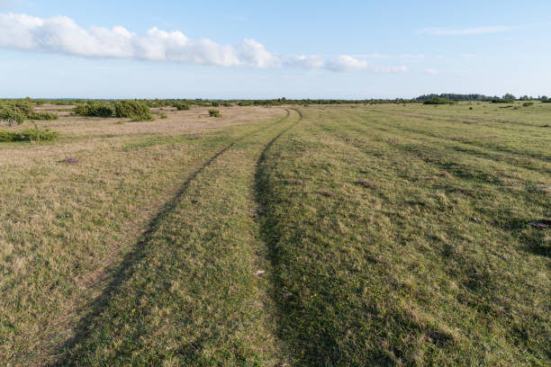 istock Winding country road in a grassland 850192102
