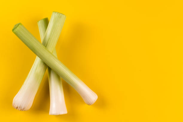 Leek on yellow background from above stock photo