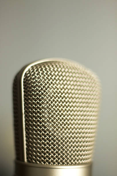 istock Large diaphragm condenser studio recording voice microphone to record professional voiceovers, singing and dubbing 850194824