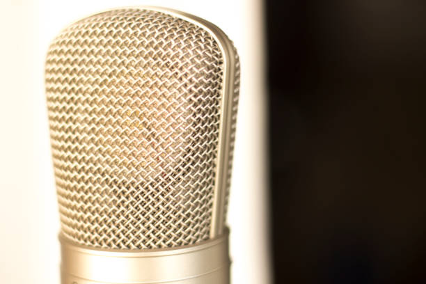 istock Large diaphragm condenser studio recording voice microphone to record professional voiceovers, singing and dubbing 850194886